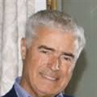 AMORIM DA ROSA FIGUEIREDO