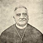 JOÃO DOMINGUES AREDE