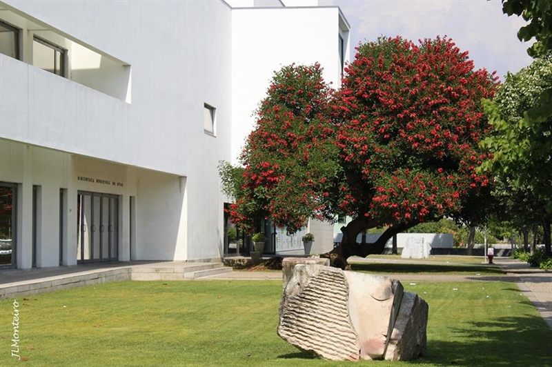  Biblioteca Municipal de Ovar